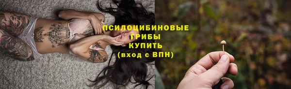 дживик Киренск