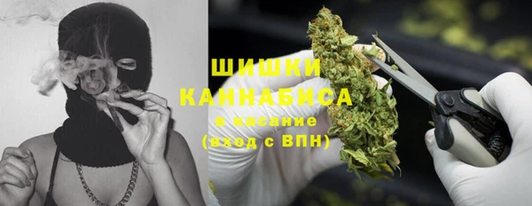 дживик Киренск