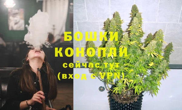 spice Кинешма
