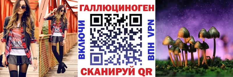 Галлюциногенные грибы мицелий  OMG зеркало  Долгопрудный 